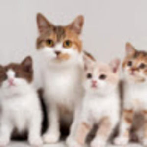 Meet your Posher, Alan